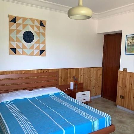 SantʼElia Fiumerapido Casa Sisu-Appartamento Immerso Negli Ulivi מראה חיצוני תמונה