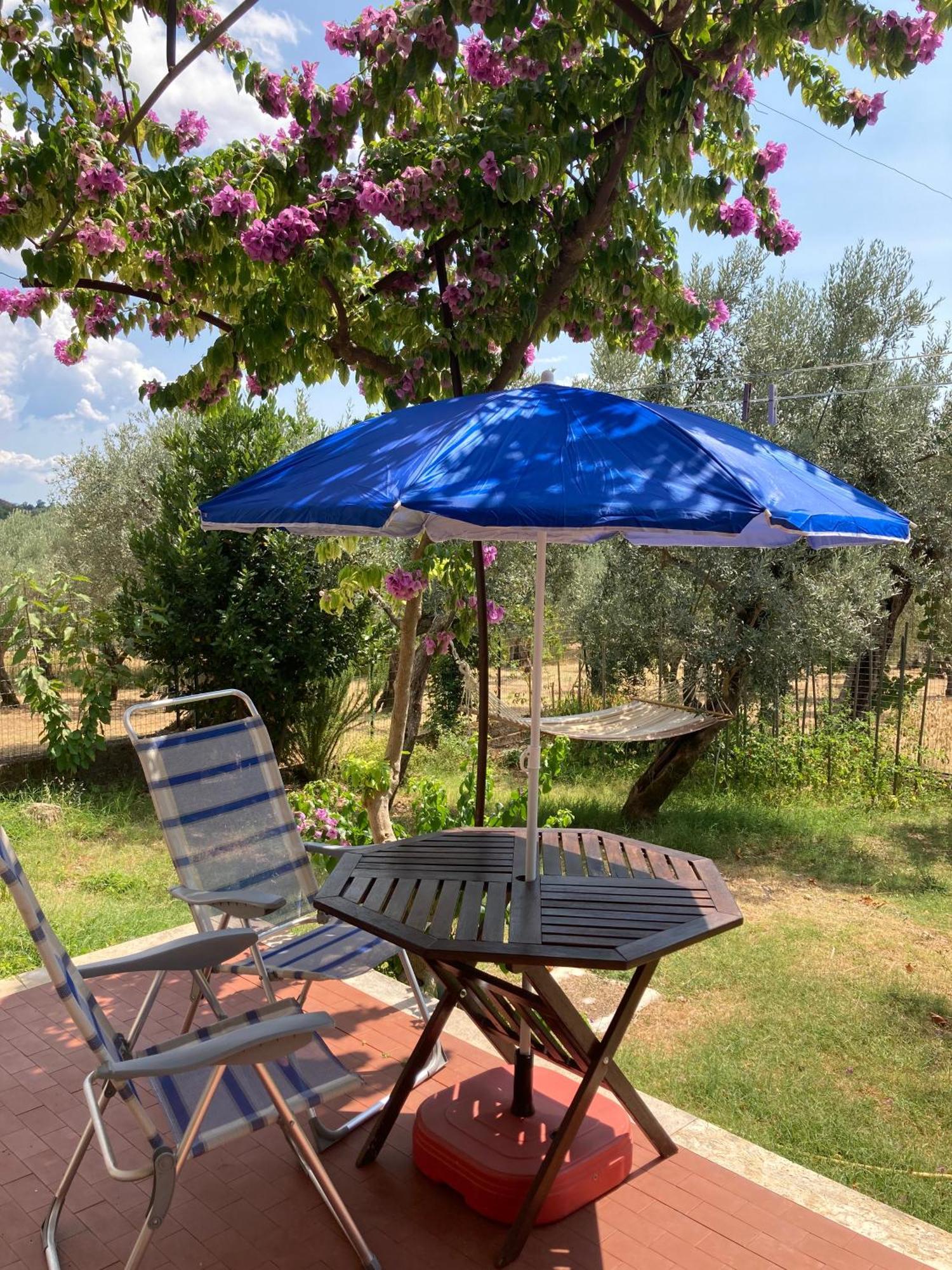 SantʼElia Fiumerapido Casa Sisu-Appartamento Immerso Negli Ulivi מראה חיצוני תמונה