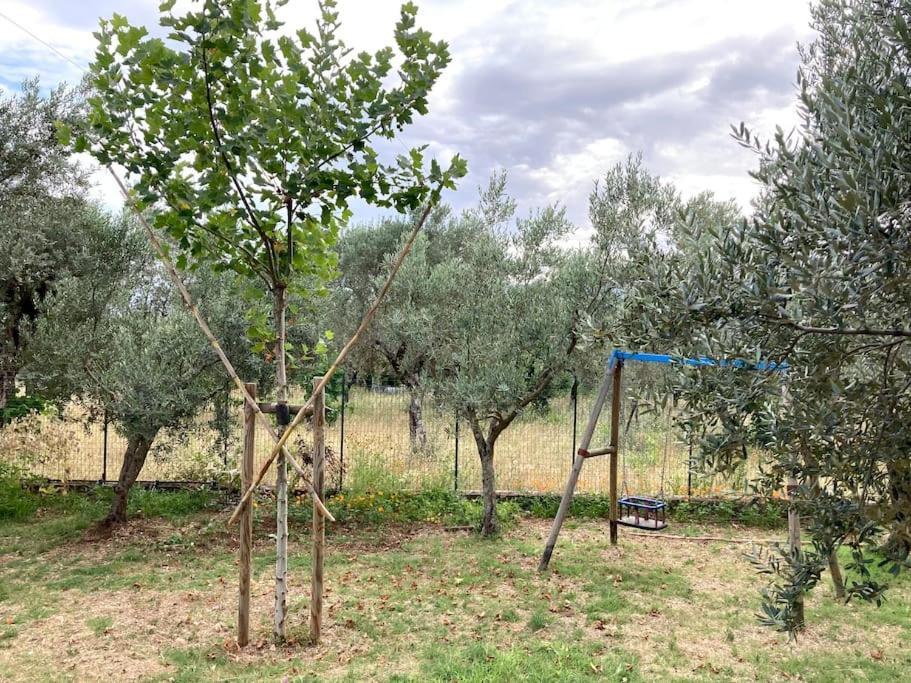SantʼElia Fiumerapido Casa Sisu-Appartamento Immerso Negli Ulivi מראה חיצוני תמונה