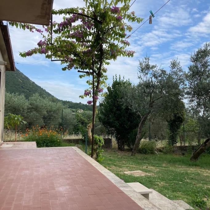 SantʼElia Fiumerapido Casa Sisu-Appartamento Immerso Negli Ulivi מראה חיצוני תמונה