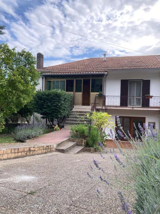 SantʼElia Fiumerapido Casa Sisu-Appartamento Immerso Negli Ulivi מראה חיצוני תמונה