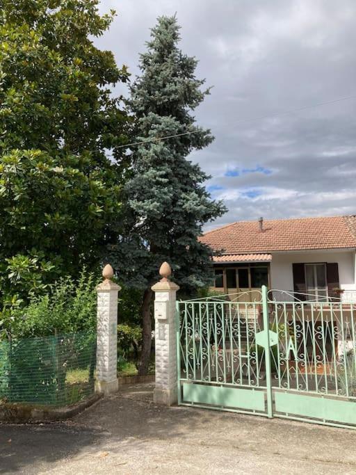 SantʼElia Fiumerapido Casa Sisu-Appartamento Immerso Negli Ulivi מראה חיצוני תמונה
