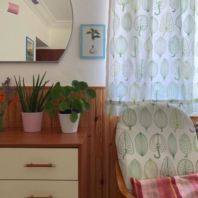 SantʼElia Fiumerapido Casa Sisu-Appartamento Immerso Negli Ulivi מראה חיצוני תמונה